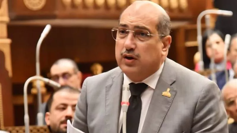 إيهاب وهبة يطالب بعمل دراسة واضحة بشأن مخاطر الإنترنت على الأطفال