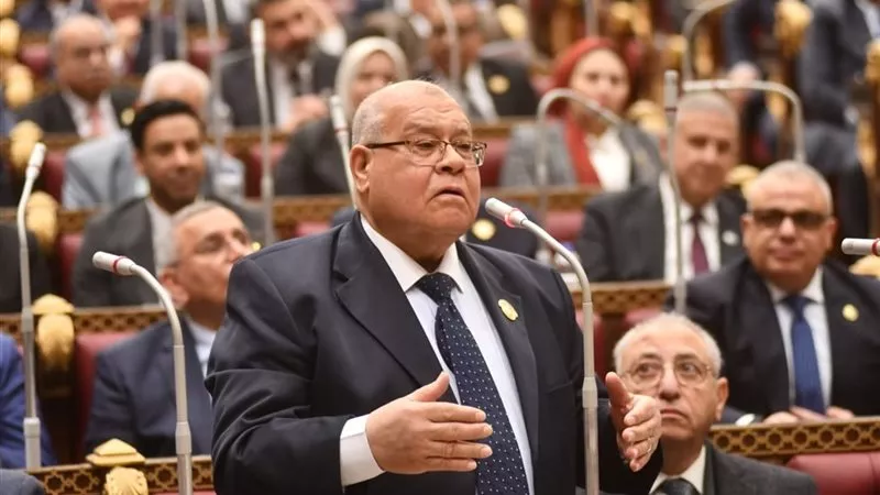 «الشهابي»: نحتاج تشريعا عاجلا لحماية الأطفال من مخاطر الإنترنت