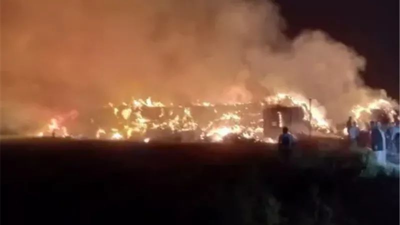 حريق هائل يلتهم شونة قش أرز بالمحلة الكبرى.. والحماية المدنية تسيطر