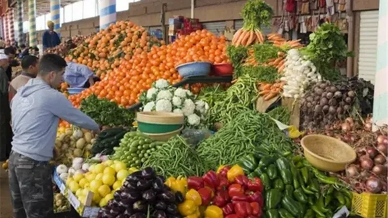 ارتفاع أسعار الخيار والبطاطس والكرنب اليوم.. والتفاح يتجاوز 66 جنيها