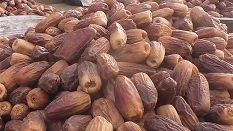 نشرة منوعات «إيجبتك»| قبل حلول شهر رمضان المبارك.. كيف تختار البلح الأنسب؟