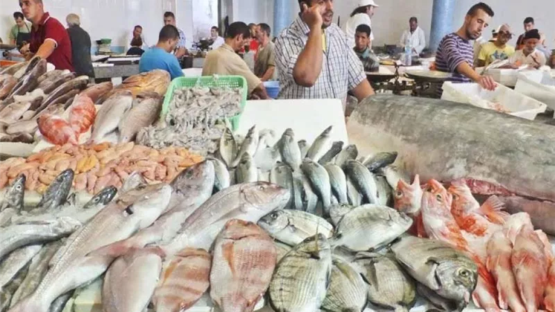 البلطي بـ90 جنيهًا والجمبري الكبير 600.. تعرف على أسعار الأسماك اليوم