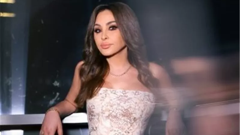 سعر فستان إليسا في حفلها الأخير بأبو ظبي