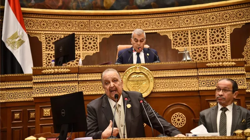 رئيس تعليم النواب: تعديلات قانون المستشفيات الجامعية يعزز الجودة والكفاءة
