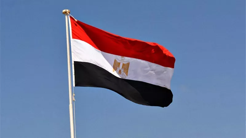 برلمانيون يشيدون برئاسة مصر لمجلس السلم: تعزز الاستقرار والتنمية بالقارة
