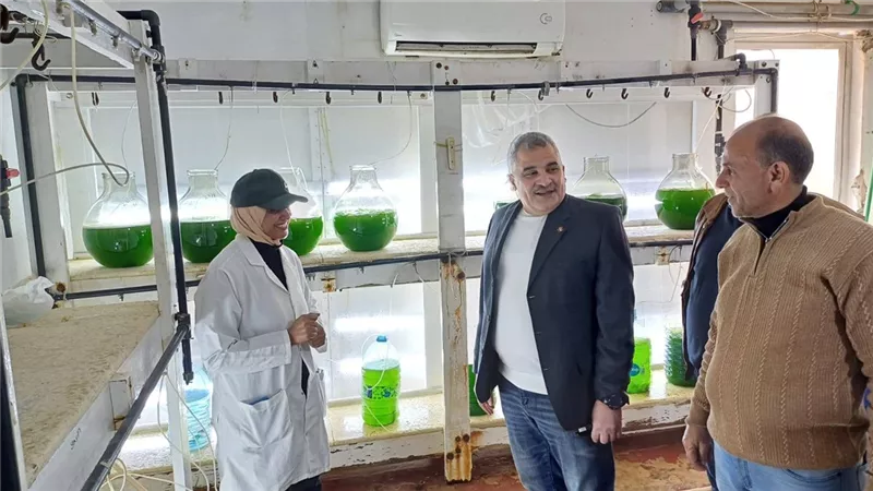 الحسين فرحات: المفرخ السمكي بالكيلو 21 بالإسكندرية يعزز الأمن الغذائي