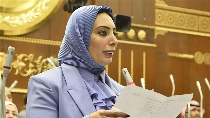 بسمة هنداوي: التعديلات التشريعية تضمن جودة الخدمة الطبية وحماية حقوق المرض
