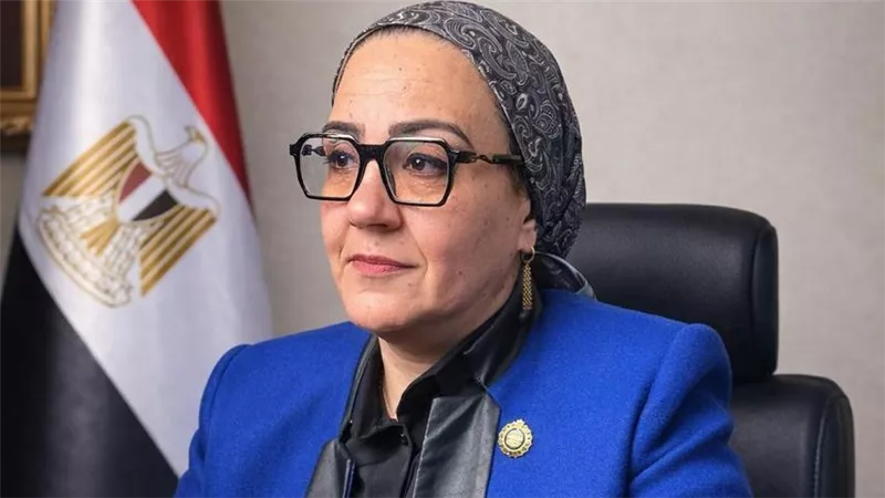 داليا الأتربي: السيسي تعامل بـ 