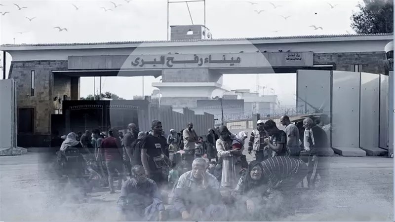 حق العودة ثابت.. شهادة فلسطينية تغلق ملف التجهير من غزة نهائيًا| فيديو