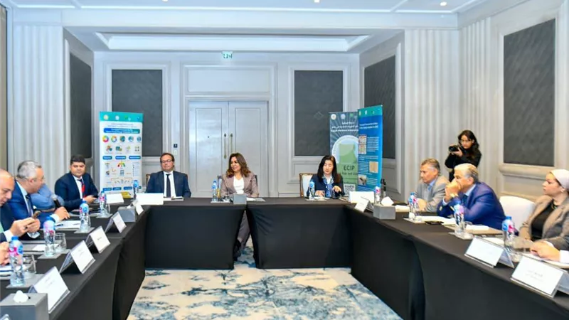 ممثلة الأمم المتحدة: شراكة مصرية أممية لتعزيز التكيف المناخي بالبحث العلمي
