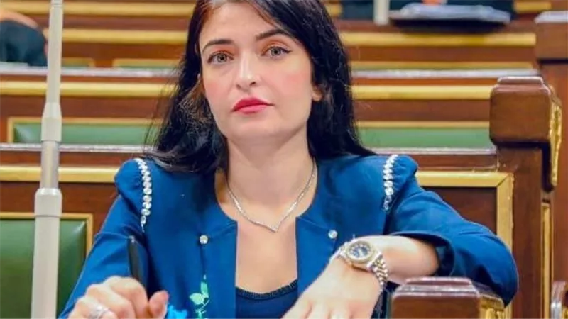 أولوية الكلمة للمعارضة.. إيرين سعيد تشدد على النظام بالبرلمان
