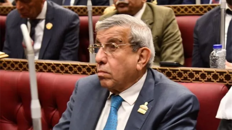 وكيل «زراعة الشيوخ» يكشف كواليس اقتراح إضافة 30 جنيها لفاتورة الكهرباء|خاص