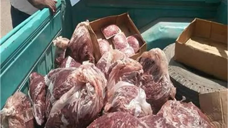 «الزراعة» تكشف ضبط 209 أطنان لحوم غير صالحة للاستهلاك خلال يناير
