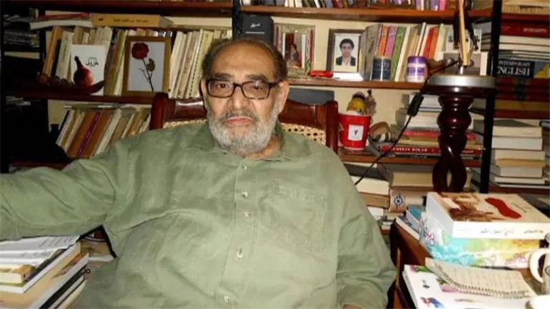 علاء الديب.. الروائي والناقد المصري الذي شكل الثقافة والأدب عبر نصف قرن