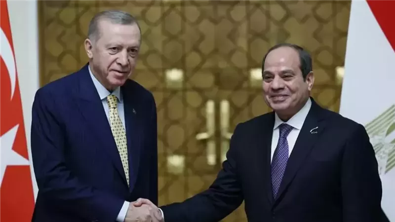 الرئيس السيسي وأردوغان يترأسان الاجتماع الثاني للمجلس الاستراتيجي|فيديو