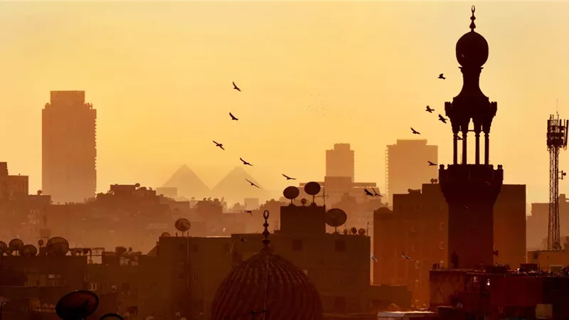 التجارة المصرية الرومانية تستهدف تجاوز مليار دولار خلال عام 2026