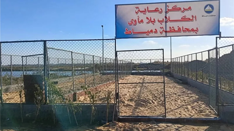 بحضور المحافظ.. تشغيل أول «شلتر» لإيواء الكلاب الضالة في دمياط 
