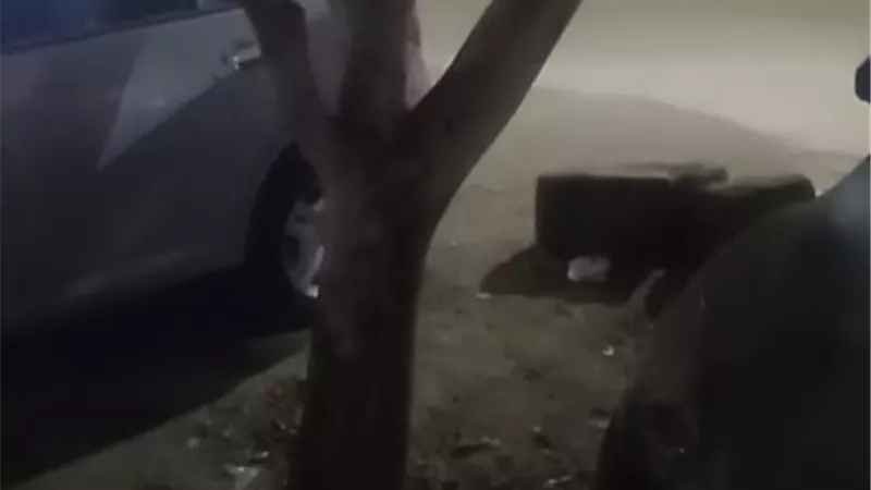 أمن أسيوط يكثف جهوده لكشف ملابسات العثور على جثمان طالبة 