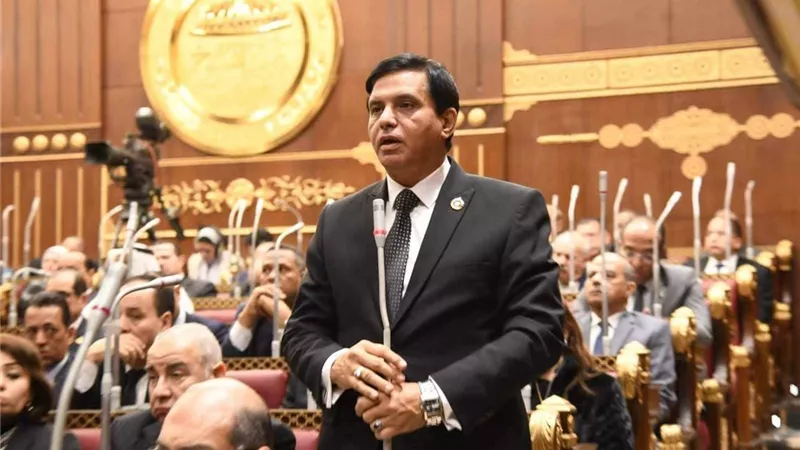 قيادي بـ«حُماة الوطن»: القاهرة وأنقرة تمتلكان ثقلا سياسيا مؤثرا في المنطقة