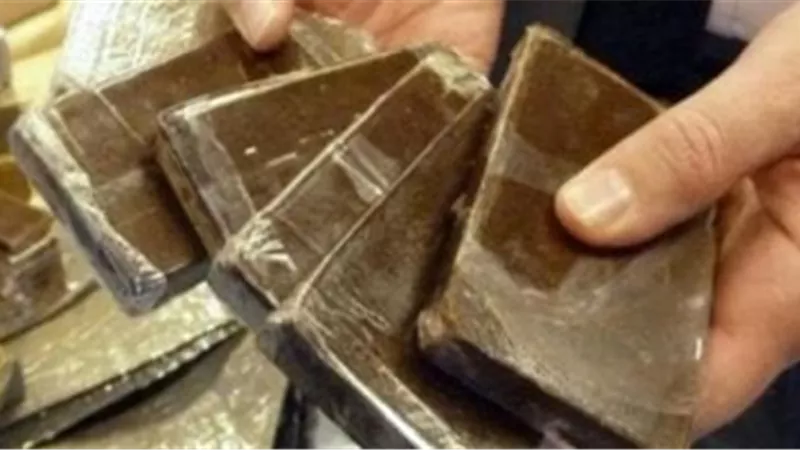 القبض على عاطل بحوزته 15 طربة حشيش وسلاح ناري في الأقصر