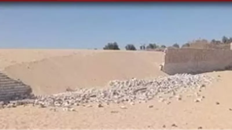 دماء في الدير.. مصرع 4 أطفال في رحلة كنسية بالمنيا|خاص