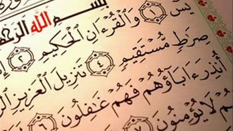 تعرف على فضل سورة «يس» ومكانتها في القرآن الكريم