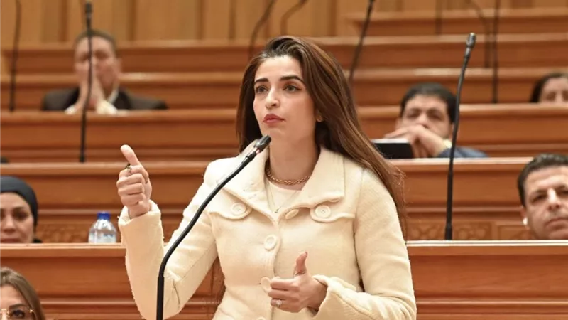 النائبة إيرين سعيد تطالب بمواجهة حاسمة لمشكلات سيارات «ذوي الإعاقة»|تفاصيل