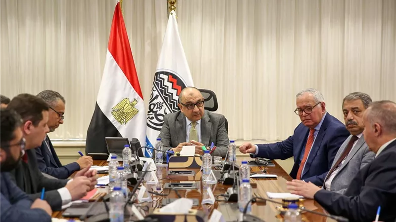 وزير قطاع الأعمال يفتح شراكات استثمارية جديدة مع مستثمري أفريقيا وآسيا