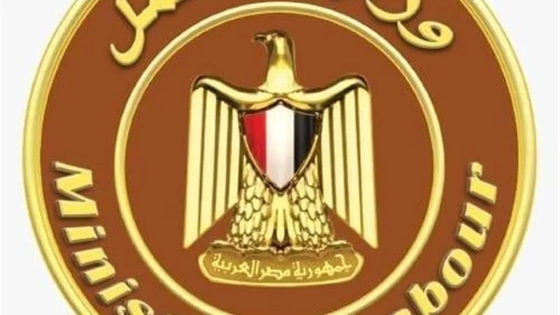 وزارة العمل: القرار 289 لسنة 2025 مكمّل لمنظومة تطبيق قانون العمل الجديد