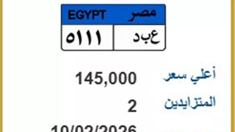 السباق الأخير.. منافسة شرسة على لوحة سيارة بـ145 ألف جنيه