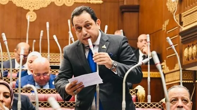 محمد الجندي: حياة كريمة تحصد تقديرا دوليا 