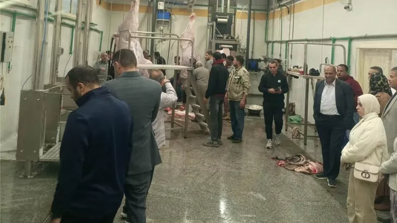 بتكلفة 23 مليون جنيه.. بدء التشغيل التجريبي لمجزر بيلا بكفر الشيخ 