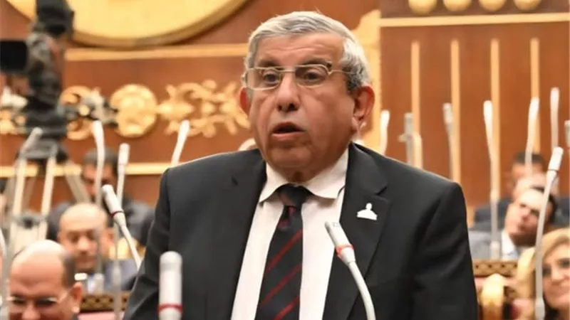 نائب بـ«الشيوخ: واقعة ضرب الأم العجوز جرس إنذار وتجريم عقوق الوالدين ضرورة