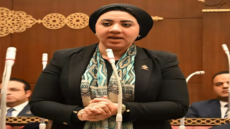 أميرة صابر: إنشاء بنك وطني للأنسجة البشرية لا علاقة له بالمكاسب الاقتصادية
