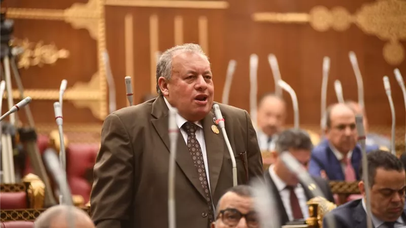 «تشريعية الشيوخ»: دعم مصر لوحدة الصومال موقف ثابت لا يقبل المساومة