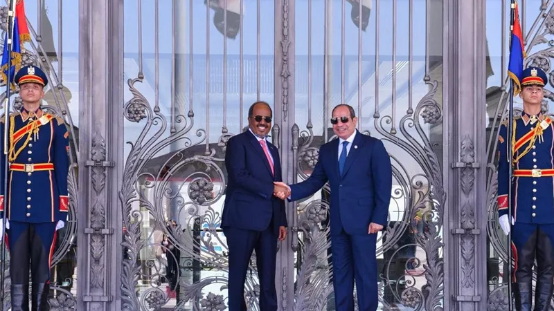 الرئيس الصومالي يؤكد تعزيز التنسيق مع مصر بما يخدم الأمن الإقليمي