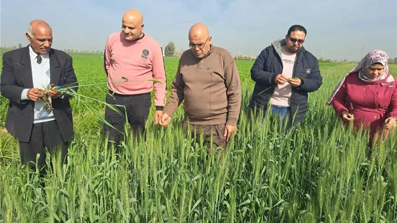 وكيل «زراعة كفر الشيخ» يتابع الزراعات الشتوية وتوزيع الأسمدة 