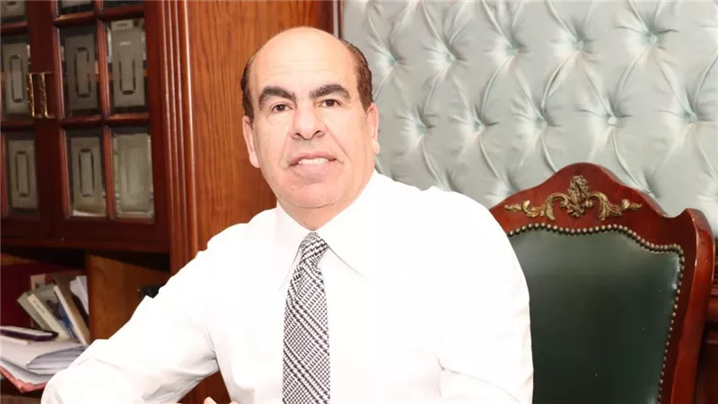 الهضيبي: قمة القاهرة حائط صد منيع وأمن البحر الأحمر 