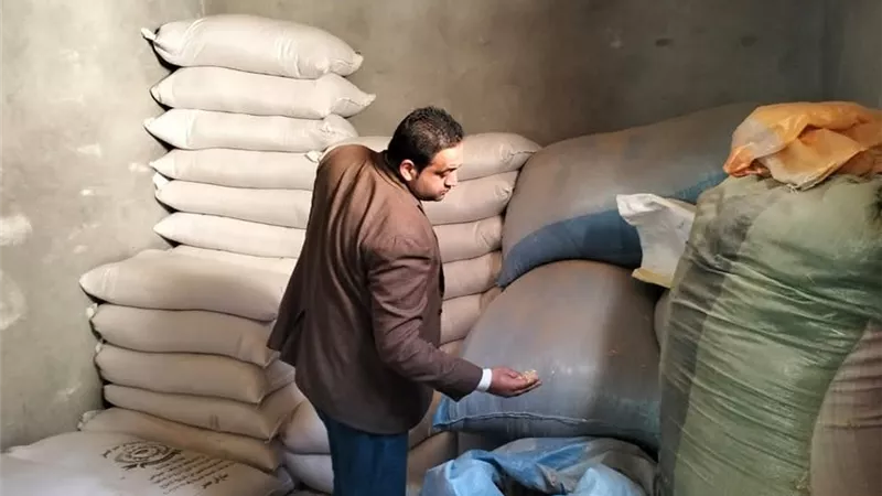 حملة تموينية مكبرة تضبط أعلاف مجهولة المصدر ببني سويف