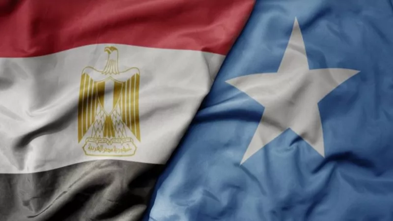 اقتصادي: 127 مليون دولار حجم التبادل التجاري مع الصومال العام الماضي|فيديو