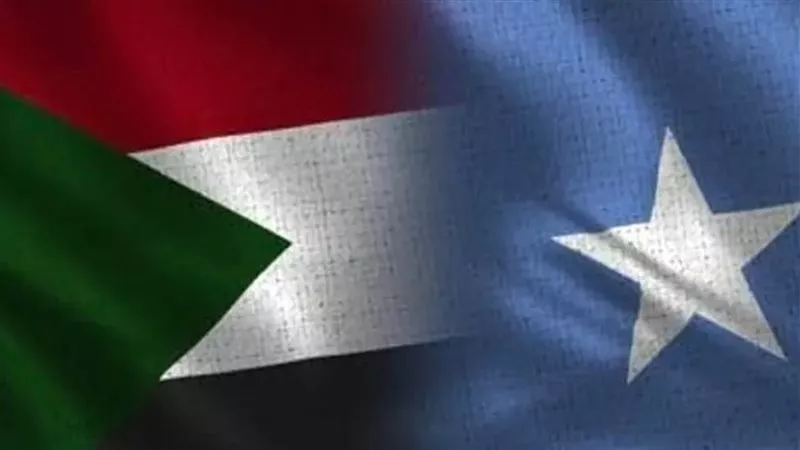 جمال بيومي: الصومال والسودان في صدارة أولويات الأمن القومي المصري|فيديو