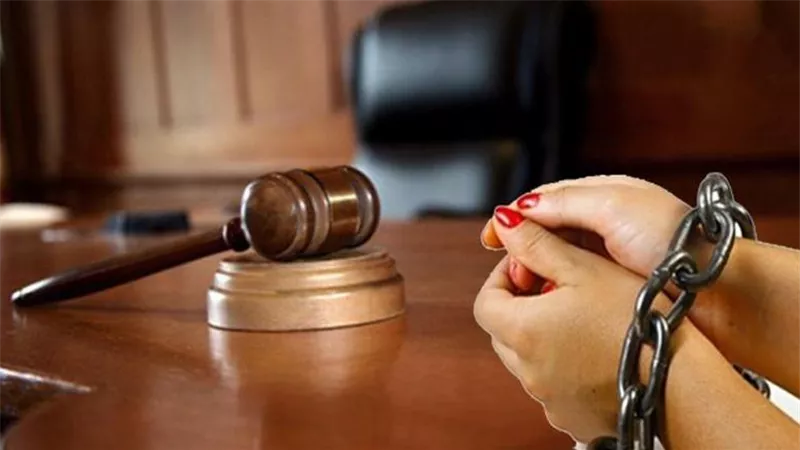 «بتضحك على الشباب اللي عايز يشتغل».. حبس سيدة تعطي شهادات تعليمية مزورة