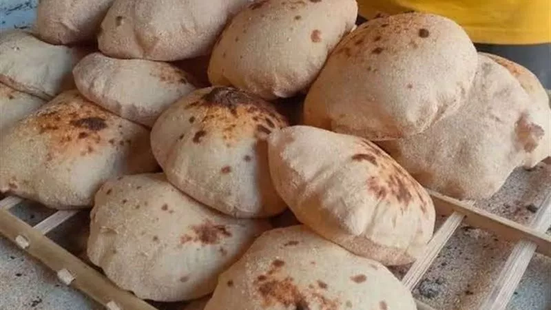 تحرير 9 محاضر لمخابز متلاعبة بالخبز حفاظا على رغيف المواطن بالسنطة