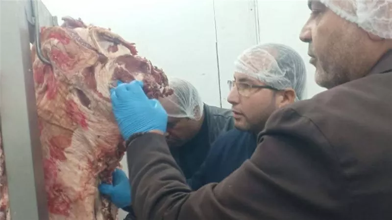 ضبط 7 أطنان لحوم ودواجن غير صالحة خلال حملة بالقليوبية