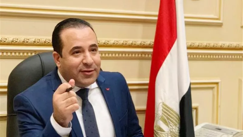 النائب أحمد بدوي: تزايد حالات الابتزاز الإلكتروني والتنمر والإدمان الرقمي