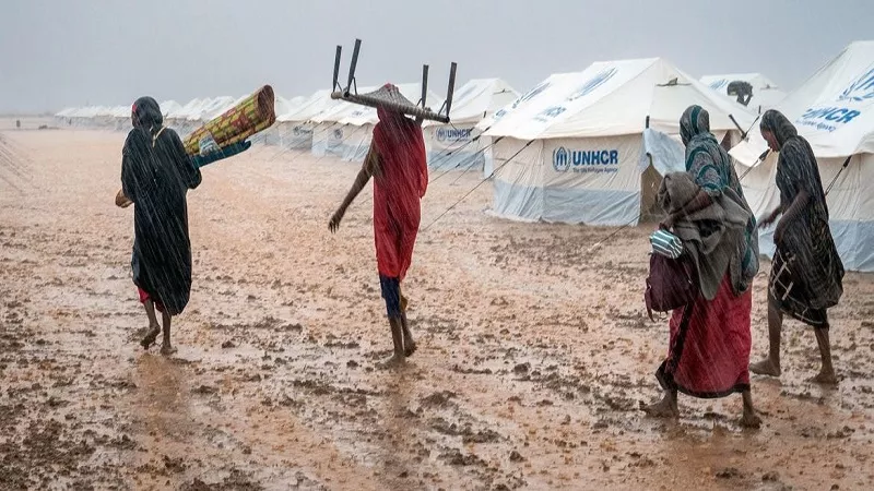توقف التعليم وانهيار الصحة.. نداء عاجل لإنقاذ النازحين في السودان|فيديو