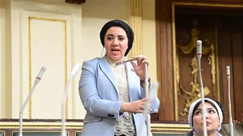 أميرة صابر: 