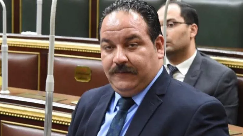بعد حكم منيا القمح.. 