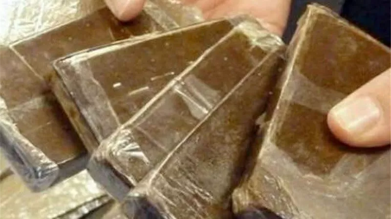 من الحشيش للآيس.. الداخلية تحبط محاولات لترويج أطنان من المواد المخدرة 