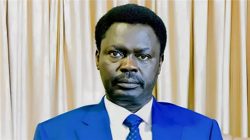 حاكم إقليم دارفور: ميلشيا الدعم السريع أحرقت معسكرًا للنازحين في السودان